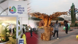 울산 태화강서 정원산업박람회 개최…정원도시 울산 | 연합뉴스