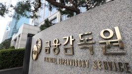 금융감독원 직원 4명 중 1명은 쉬거나 무보직 | 연합뉴스