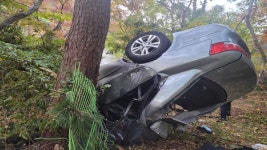 경남 남해 비탈길서 승용차 추락…2명 심정지·3명 부상 | 연합뉴스