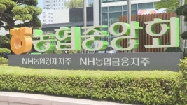 [비즈&] 농협, 우박 피해 농가에 살균제 공급…금융 지원도 外 | 연합뉴스