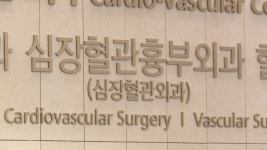 흉부외과 전공의 12명 남아…명맥 중단 위험 | 연합뉴스