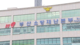 부산서 복어 요리해 먹다 중독…4명 병원 이송 | 연합뉴스