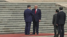 [현장연결] 트럼프, 인민대회당 도착...시진핑, 레드카펫서 영접 | 연합뉴스