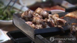 화순 식당서 공급한 돼지고기 섭취한 14명 장관감염 | 연합뉴스