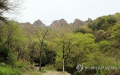 진안 구봉산 올랐다 길 잃은 대학 운동부 선수들 2시간만에 구조 | 연합뉴스