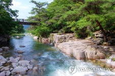 [마이더스] 어디나 산수화, 누구나 신선 | 연합뉴스
