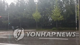 수원 등 경기 14곳 호우주의보…파주·연천 호우경보 유지 | 연합뉴스