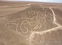 2천년전 고양이 그림…페루 나스카서 37m 고대 지상화 발견 | 연합뉴스