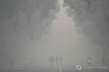 또 가스실 됐다…印뉴델리 초미세먼지, WHO 기준 65배 치솟아 | 연합뉴스