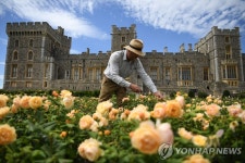 영국 왕실 정원 모습은…윈저성 동쪽 테라스 40년만에 대중에 공개 | 연합뉴스