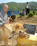 <주인 묘 옆에 영원히 잠든 忠犬> | 연합뉴스