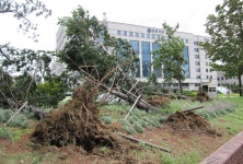 <태풍 볼라벤> 경기지역도 피해 속출(종합) | 연합뉴스