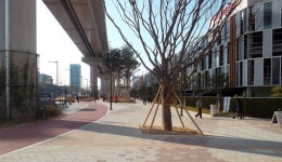 부산 사상광장로, 명품 가로공원 변신 | 연합뉴스