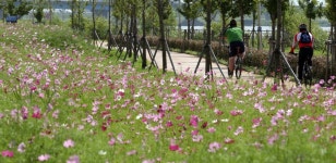 매점 없던 부산 화명·삼락생태공원에 편의점 설치 | 연합뉴스