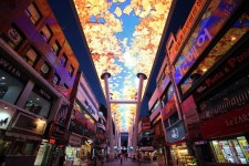 대전 중구 은행동 스카이로드 불법 노점상 단속 | 연합뉴스