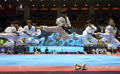 지구촌 태권도 축제 2018 세계태권도한마당 제주 개최 | 연합뉴스