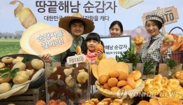 해남 산 우리 감자로 만든 빵 출시 | 연합뉴스