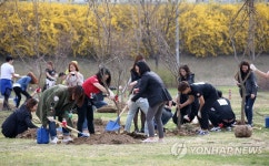 봄, 그리고 나무 심기 | 연합뉴스