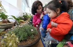 야생화 보러 세종청사에 오세요 | 연합뉴스