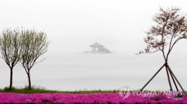 그림 속 풍경…강릉 경포호 월파정 | 연합뉴스