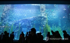 롯데월드몰 아쿠아리움 재개장 | 연합뉴스