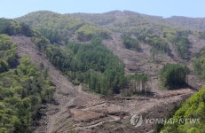 가리왕산 활강경기장 가처분 소송…현장검증 기각 | 연합뉴스