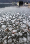 최강 한파에 다시 얼어붙은 의암호 | 연합뉴스