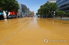 서울 한복판 진흩밭 | 연합뉴스