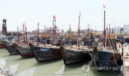 만석부두 가득 채운 불법조업 중국어선들 | 연합뉴스