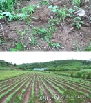 北 양묘장 관리부실 또 질타 | 연합뉴스