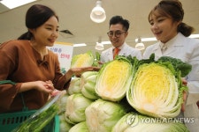 이마트 이젠 김장도 베타카로틴 배추로 | 연합뉴스