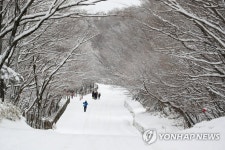 제주는 설국 | 연합뉴스