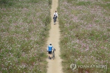 가을 길을 걷다 | 연합뉴스