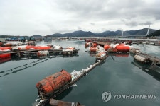 사라진 삶의 터전 | 연합뉴스