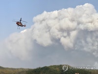 강풍에 되살아난 안동 산불 | 연합뉴스