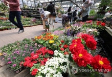 ‘봄기운 물씬’ 내일은 청명(淸明)이자 식목일…서울 양재동 화훼공판장 | 연합뉴스
