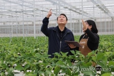 스마트팜 체험 나선 윤석열 대통령 | 연합뉴스