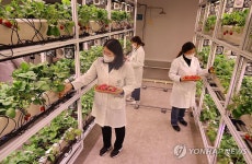 도심 건물에 스마트팜 | 연합뉴스