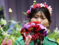미리 만나는 봄…에버랜드 나비의 꿈꾸는 정원 | 연합뉴스