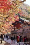 가을색으로 물든 사찰…장성 내장산국립공원 백양사 | 연합뉴스