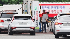 지리산 노고단 물들인 진분홍 술패랭이꽃 | 연합뉴스