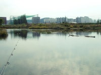 2009년 10월 18일 일요일 조행기 3미터 짜리... - 낚시 갤러리