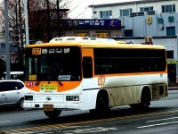 2010 / 01 / 31 - 마두역, 삼송역 잡사 - 버스 갤러리