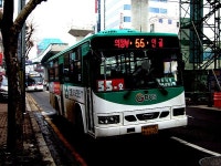 2010 / 01 / 31 - 의정부 잡사 - 버스 갤러리