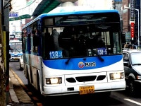 2010 / 01 / 31 - 의정부 잡사 - 버스 갤러리