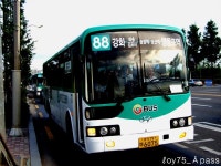 2010 / 07 / 11 - 개화검문소 잡사 - 버스 갤러리