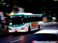 2010 / 07 / 11 - 개화검문소 잡사 - 버스 갤러리