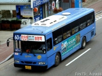 2010 / 09 / 20 - 김포 고촌 - 버스 갤러리