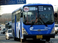 2010 / 11 / 28 - 공촌사거리, 검단, 양곡, 사우동 - 버스 갤러리