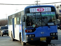 2010 / 11 / 28 - 공촌사거리, 검단, 양곡, 사우동 - 버스 갤러리